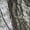 Camo, variant on Rugged Shark Little & Big Boy's EVA Clog, Sizes 13-6