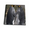 3dRose King penguins, mating ritual-AN01 HRO0017 - Hugh Rose - Mini Notepad, 4 by 4-inch