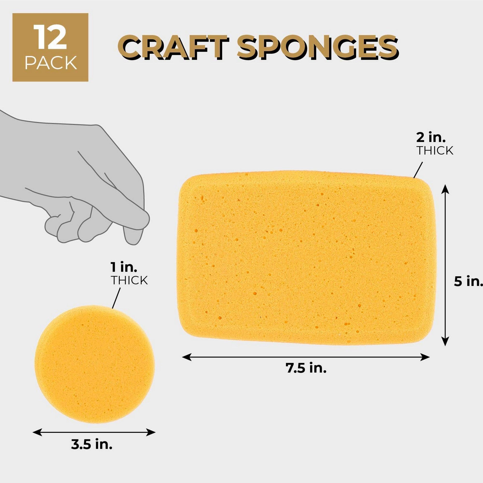 Imagine Studios 12Pack Synthetic Sponges for Painting, Pottery, Arts