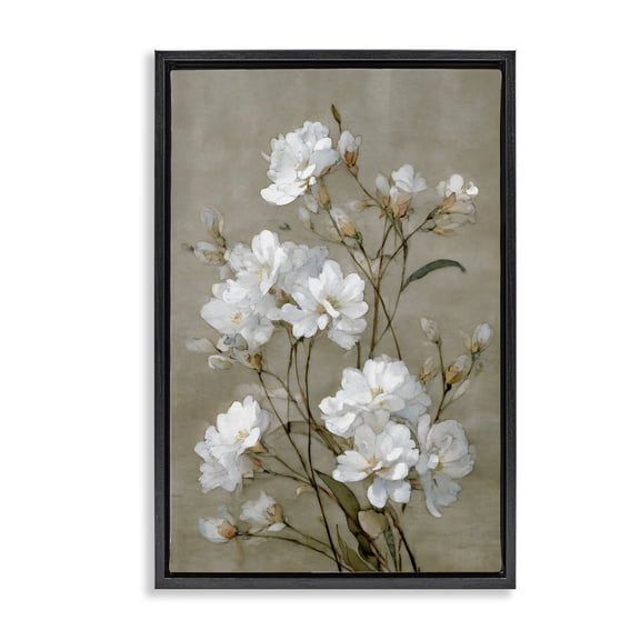 Stupell Industries Aged White Botanical Study Black Framed Floater Canvas Wall Art, design by Petal Prints Design