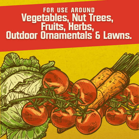 Corry's Slug and Snail Killer, Ready-to-Use, 6 lbs.