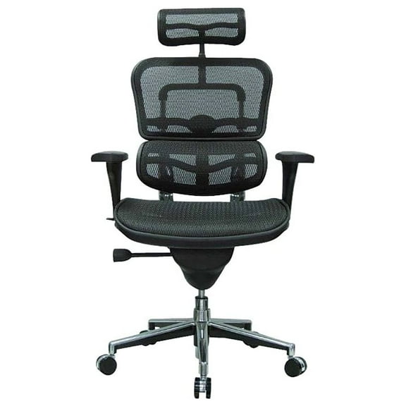 Eurotech High Back Mesh Task Chair Black (ME7ERG(N))