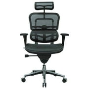 Eurotech High Back Mesh Task Chair Black (ME7ERG(N))