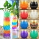 thumbnail image 5 of Bolas de agua multicoloreadas no tóxicas de 50.000 unidades, bolas de gel de polímero biodegradable como rellenador de jarrón puede ser utilizado Afortunado Sencillez, 5 of 5