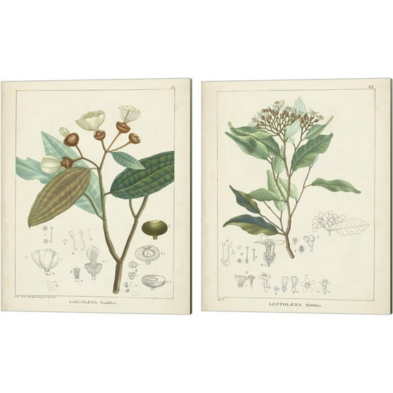 Great Art Now Vintage Verdure B by 2 Piece Canvas Art Set Each 12W x 15H