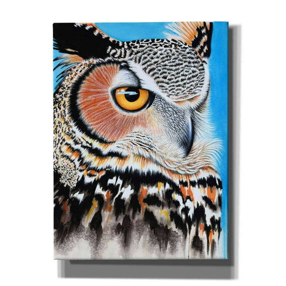 Epic Graffiti 'Great Horned Owl Eye' by Michelle Faber, Canvas Wall Art, 40"x54"