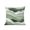 Green, variant on Waterproof Outdoor Throw Pillows with Inserts 16"x16", Turquoise Ombre Soft Decorative Pillowcases for Couch Bedroom, Modern Geometric Moire Abstract Art Pillow Covers for Sofa Living Room