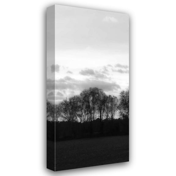 Alan Hausenflock 20x40 Gallery Wrapped Canvas Wall Art Titled - Winter Sunset BW III