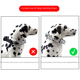 thumbnail image 5 of Este collar de entrenamiento para perros con cadena estimulante Cadena de entrenamiento para perros Cadena de entrenamiento para perros Collar para mascotas, 5 of 6