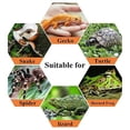 thumbnail image 4 of Mini Caja de Transporte de Terrario, Caja de Alimentación de Reptiles de Acrílico, Caja de Cría de Reptiles Portátil Cría de Reptiles Transparente para Lagarto Araña, Lagarto, Escorpión, Milpiés,, 4 of 4
