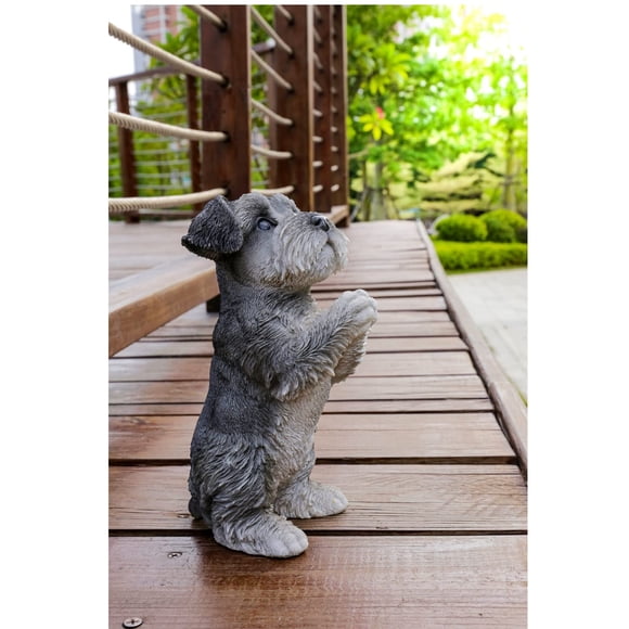Figura Hi-Line Gift Ltd., Schnauzer rezando, color gris