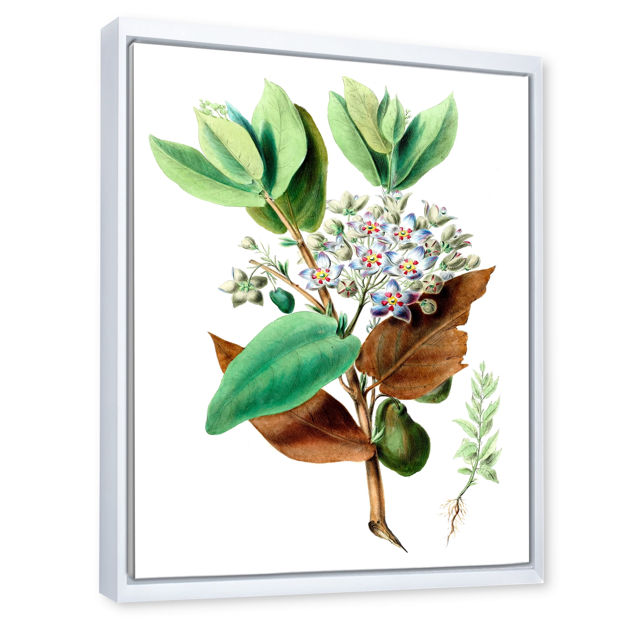 Ancient Plant Life XXVIII 12 in x 20 in Framed Painting Canvas Art Print, by Designart