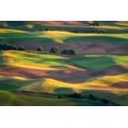 thumbnail image 4 of Gerald Macua 24x17 Black Modern Wood Framed Wall Art Titled - Colorful Palouse, 4 of 6