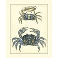 thumbnail image 2 of Vision Studio 12x14 Gold Ornate Wood Framed with Double Matting Museum Art Print Titled - Antique Blue Crabs II, 2 of 4
