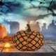 thumbnail image 4 of Decoraciones de Fiesta de Halloween Decoraciones Wansheng, Decoraciones de Fiesta de Vacaciones, Decoraciones de Punto, Apoyos de Lana, Apoyos de Calabaza, 4 of 6