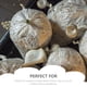 thumbnail image 5 of Bolsas de cultivo de hongos comestibles, transpirables, de polipropileno, para cultivo al vacío, 25 unidades, 5 of 6