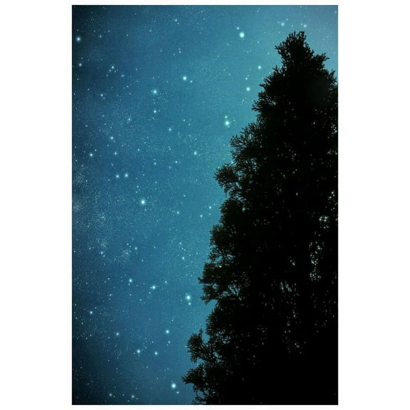 Marmont Hill Mh-Robdic-223-C-36 36" X 24" "Star Light" Giclee Art Print On Stretched