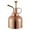 C, variant on THHEIC Stainless Steel Plant Mister Spray Bottle, Watering Can for Indoor Plants Succulent Bonsai, Garden Spray Houseplant Spritzer, Modern Garden Tools, 10oz/300ml