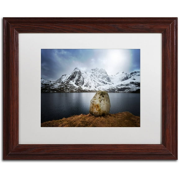 Trademark Fine Art "Spaceways Theme" Canvas Art by Philippe Sainte-Laudy, White Matte, Wood Frame