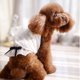 thumbnail image 1 of Cachorro De Perro Ropa De Liga Del Cordón De Vestido Con Capucha Del Chaleco De Sunnimix Camisa de mascota, 1 of 4