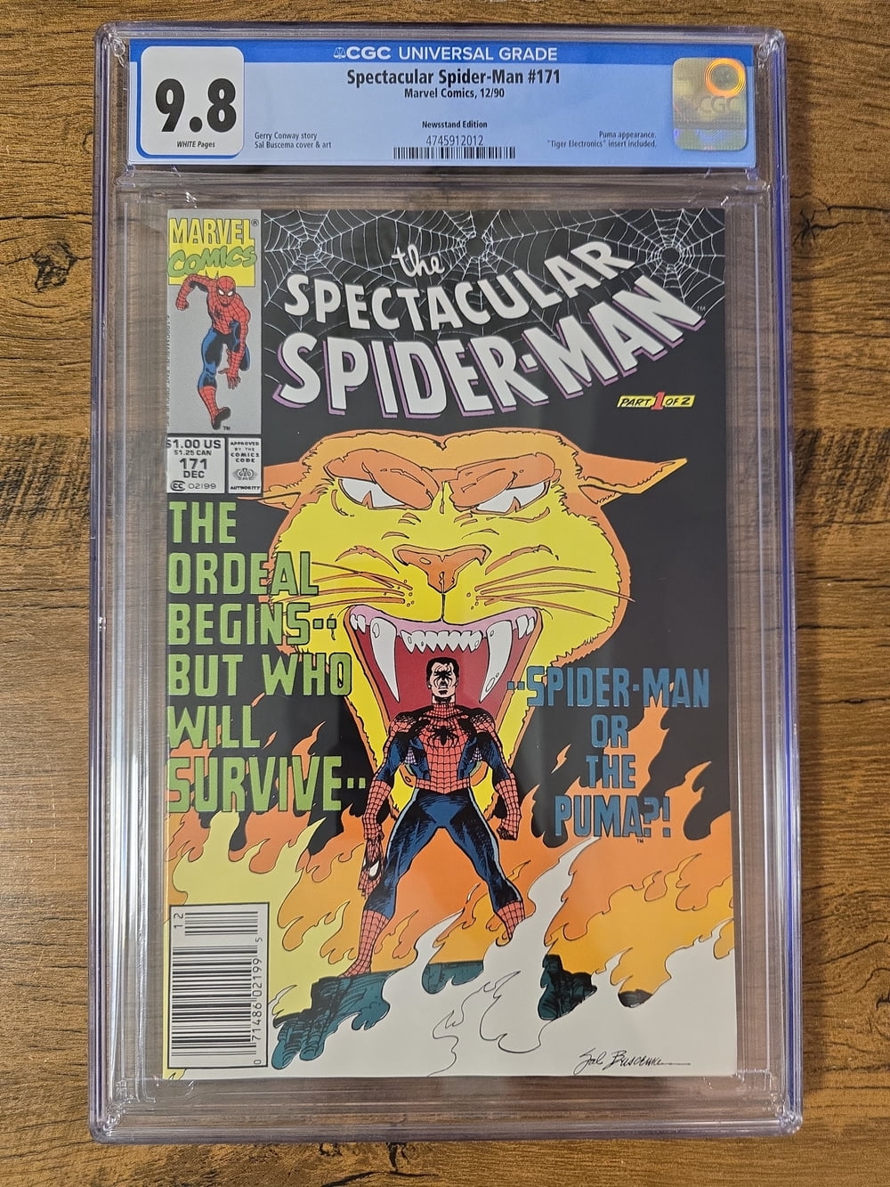 Cover of The Spectacular Spider-Man #171