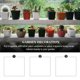 thumbnail image 3 of unbranded 10Jgo Macetas Decorativas De Plástico Beige Para Jardinería En Casa Y Balcones, 3 of 6