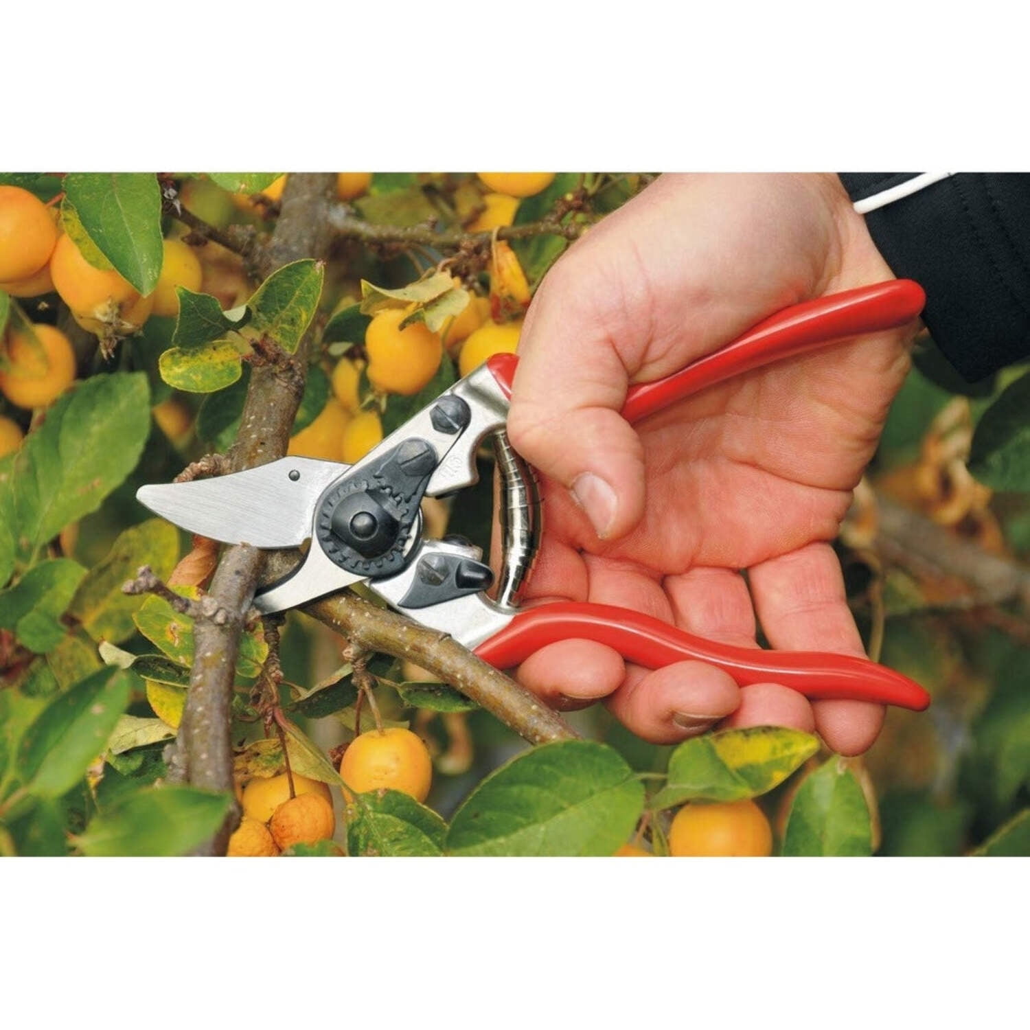 Felco 6 Ergonomic Compact Pruner F-6