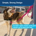 thumbnail image 4 of PetSafe Nylon Dog Leash, Strong, Durable, Easy to Use Bolt Snap, 3/4" x 4', Raspberry, 4 of 6