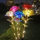 thumbnail image 3 of Toystoory Luces de flores con energía solar, luces decorativas para césped al aire libre, luz solar para césped de rosas, jardín y patio Jardín y Patio, 3 of 6