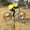 Bees, variant on Huhudde 3D Animal on Bike Windmill Wind Spinner Toys Decoration Ornaments Supplies