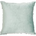 thumbnail image 2 of Nourison Life Styles Solid Celadon Decorative Throw Pillow , 22" x 22", 2 of 4