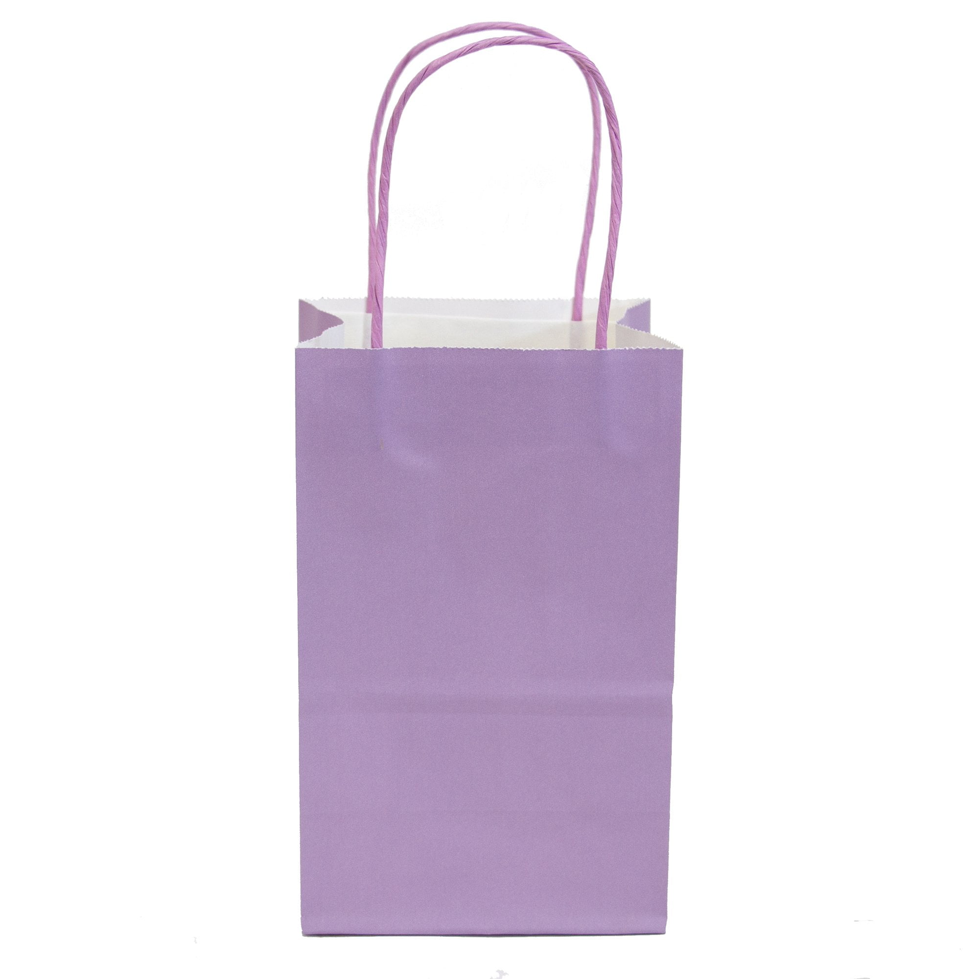 twisted handle bolsas