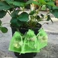 thumbnail image 6 of 100/50/20Pcs Fruit Protection Bags with Drawstring Fruit Protection Mesh Bag Protective Pouches for Strawberry Organza Gift Bags, 6 of 8