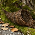 thumbnail image 6 of karymi Hand-Woven Horns-Shaped Wicker Birds Nests Natural Hanging Rest for Finches Canaries and Small Wilds Birds Family Gifts Home Decor Holiday Gifts, 6 of 9