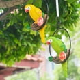 thumbnail image 5 of Happy Date Patio Home Garden Hanging  Macaw Parrot Perching on Branch in Metal Round Ring Figurine Sculpture Nature Lovers Tropical Bird Collectors Decor 7.28" H, 5 of 7