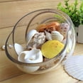 thumbnail image 3 of UDIYO 100g Mixed Sea Beach Shells Crafts Seashells Aquarium Decor Photo Props, 3 of 6