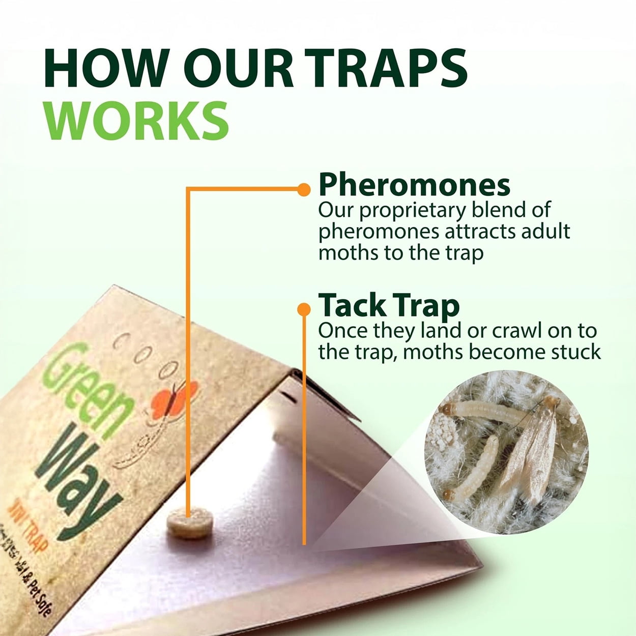 Clothes Moth Trap - 1 Pack (2 Traps & 2 Lures) by GreenWay