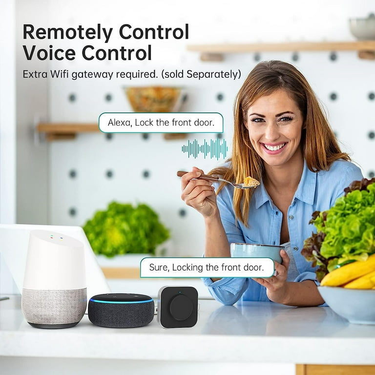 Hornbill Smart Door Lock, Keyless Entry with Keypad, Bluetooth