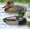 Mallard Duck Pair, variant on Galashield Duck Decoys for Hunting | Floating Duck Decoy for Pool, Pond & Lake