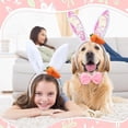thumbnail image 4 of 3 Set Dog Bunny Ears Easter Costume, Dog Headband Cat Rabbit Ear Hat Cute Pet Bow Collar Puppy Tail for Pet Easter Party Costume Accessories Supplies, 4 of 6