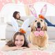 thumbnail image 4 of Set de disfraces para mascotas de Pascua: conejito con flor de zanahoria y gorro con cinta para la cabeza 7pc – accesorios ajustables de cuello de poliéster para gatos, perros, gansos, fotos festivas, 4 of 6
