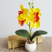 Four Butterfly Orchid Meaty Plant Bonsai Creative Flower Arranging Accessories