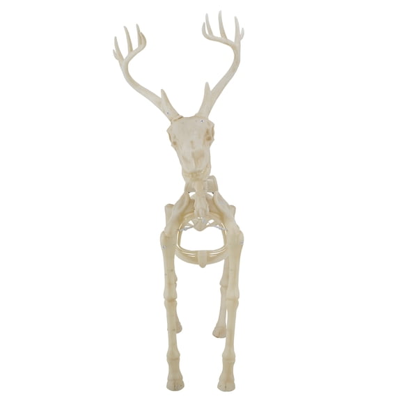 LED Illuminated Deer Skeleton, 60-inch, Halloween Decoration, by Way to Celebrate