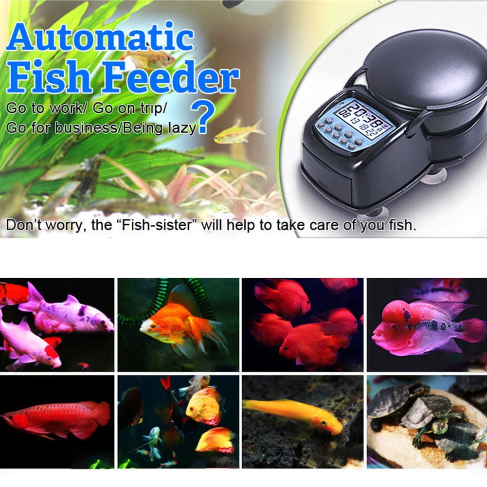 automatic aquarium fish feeder