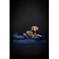thumbnail image 3 of Cama ortopédica para perros NOAH & PAW XL, 114 x 89 x 28 cm, gel refrescante, 3 of 7