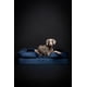 thumbnail image 3 of Cama ortopédica para perros NOAH & PAW XL, 114 x 89 x 28 cm, gel refrescante, 3 of 7