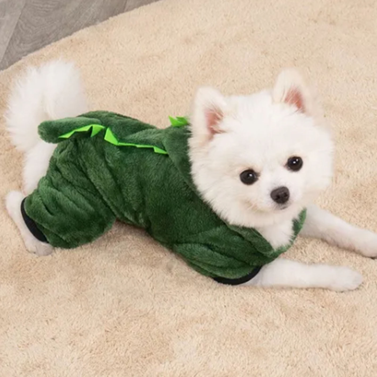 Dog dinosaur hoodie hot sale