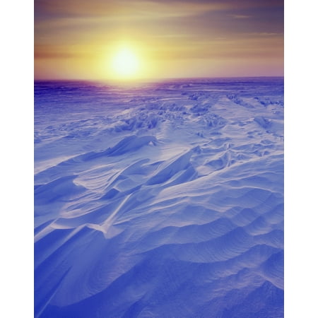 Sunset Over Wind-Carved Snow Drifts North Slope Arctic Ak Stretched Canvas - Gary Schultz  Design Pics (24 x