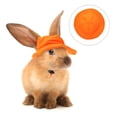 thumbnail image 4 of EeaseMX Sombrero de mascotas pequeñas Capas de mascotas coloridas Accesorios para la cabeza para mascotas Suministro de prendas diarias para mascotas, 4 of 8