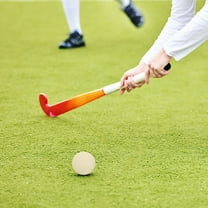 LABRIMP 2Pcs Durable Quality Ice Hockey Ball for Indoor and Outdoor Sports